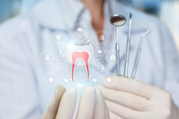 Best Full Mouth Reconstruction  in Bokeelia, FL